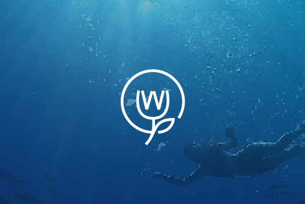 WordPotential