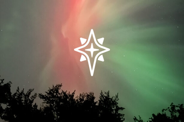 ns-project-cover-1